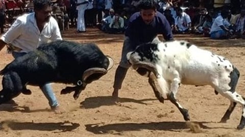 கோப்புப் படம்