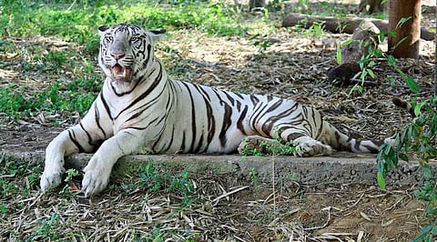 கோப்புப்படம்