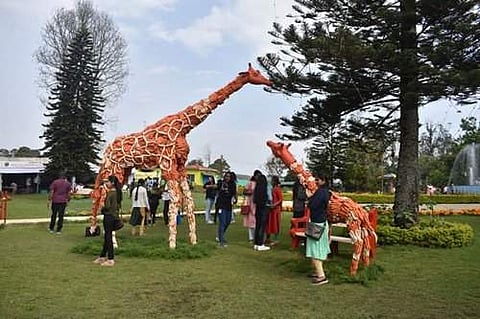 நீலகிரி கோடை விழா: கோத்தகிரியில் 11-வது காய்கறி கண்காட்சி இன்று துவங்கியது