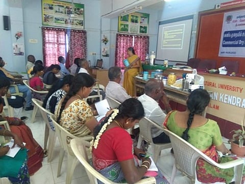 உலா் பழங்கள், மிட்டாய் தயாரிக்கும் பயிற்சி