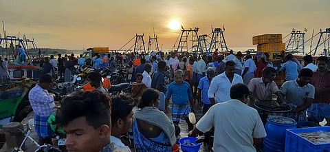 தடைக்காலம் முடிந்து கடலுக்கு சென்ற மீனவா்களுக்கு ஏமாற்றம் போதிய அளவு மீன்கள் கிடைக்கவில்லை