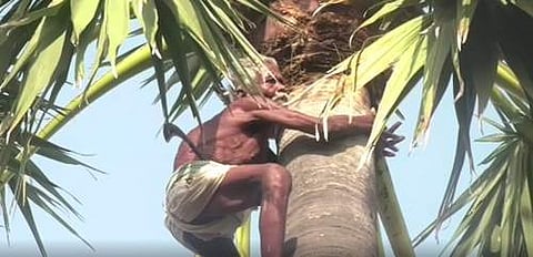 90 வயதில் மனைவியை காப்பாற்ற பனை மரம் ஏறி உழைத்து சாப்பிடும் துரைப்பாண்டி தாத்தா