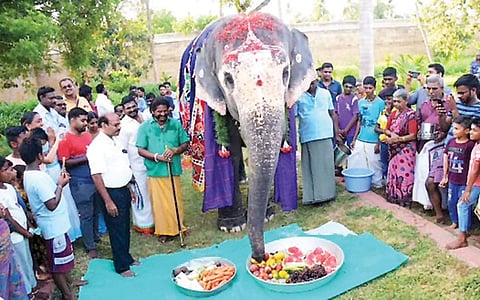 ஹாப்பி பர்த் டே டூ அகிலா...!