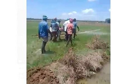 தஞ்சையில் ஒன்றரை கி.மீ தூரம் சேற்றில் நடந்து வந்து முதலுதவி செய்த மருத்துவ உதவியாளர்