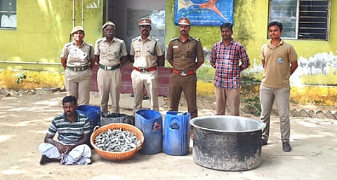 ராமேசுவரத்திலிருந்து இலங்கைக்கு கடத்த முயன்ற 85 கிலோ அட்டைகள் பறிமுதல்: ஒருவா் கைது