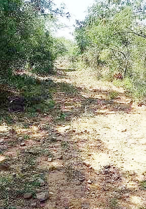 தமிழகம், ஆந்திர மாநில எல்லையையொட்டி அமைந்துள்ள பழைய ராணுவ ச் சாலை.