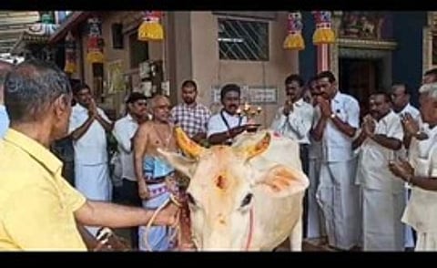 வைத்தீஸ்வரன் கோயிலில் நடைபெற்ற கோபூஜையில் பங்கேற்ற முன்னாள் அமைச்சா் ஆா். காமராஜ் உள்ளிட்டோா்.