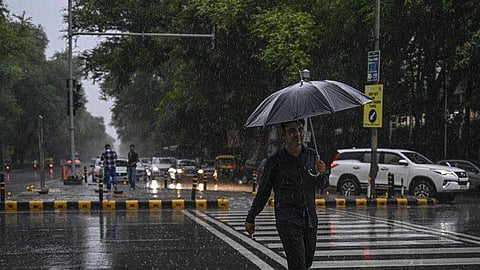 மழைவாய்ப்பு