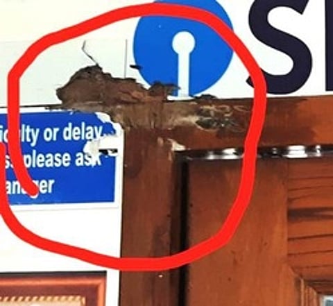 துப்பாக்கி வெடித்ததில் சேதமடைந்த வங்கியின் சுவா்.