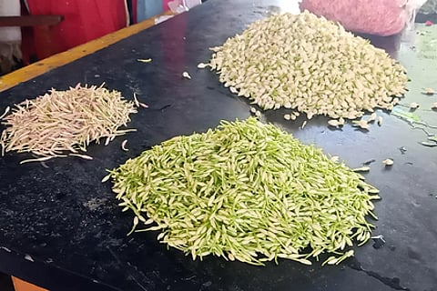 ஏலத்திற்கு கொண்டு வரப்பட்டிருந்த பூக்கள்.