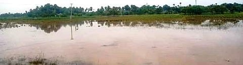 சங்ககிரி வட்டம், தேவூர் அருகே உள்ள அரசிராமணி, குஞ்சாம்பாளையம், நாச்சம்பட்டி ஏரியில் வியாழக்கிழமை இரவு பெய்த மழையால் தண்ணீர் தேங்கி நின்கின்றன.