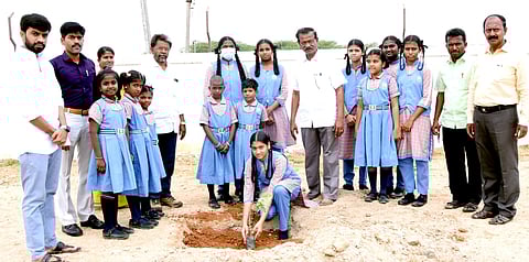 பசுமை தினநாள் விழாவில் பள்ளி வளாகத்தில் மரக்கன்று நட்டுவைத்த மாணவி.