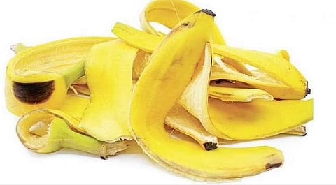 வாழைப்பழத் தோலை தூக்கி எறிய வேண்டாம்