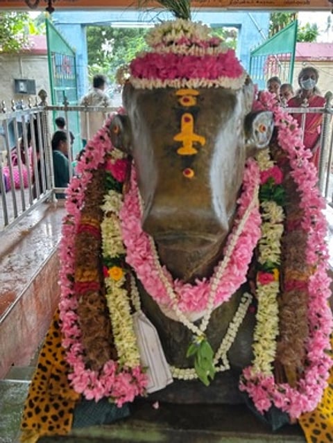 கரூா் கோயில்களில் பிரதோஷம்