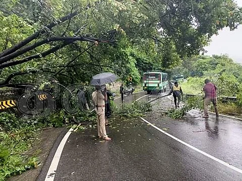 குமுளி மலைச்சாலையில் முறிந்து விழுந்த மரத்தை அப்புறப்படுத்தும் போலீசார்.