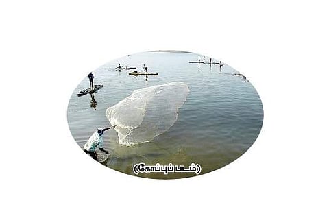 சுருக்கு மடி வலை விவகாரம்: மூன்று மாதங்களுக்குள் வல்லுநர் குழு அறிக்கை அளிக்க உச்சநீதிமன்றம் உத்தரவு