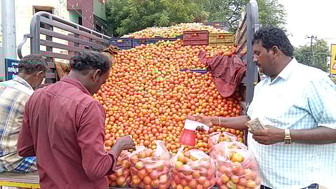 விளைச்சல் அதிகரிப்பால் தக்காளி விலை சரிவு: சரக்கு வாகனத்தில் விற்பனை தீவிரம்