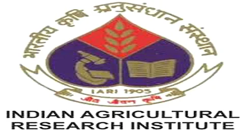 இந்திய வேளாண்மை ஆராய்ச்சி நிறுவனத்தில் வேலை: விண்ணப்பிப்பது எப்படி ?