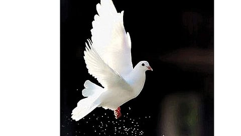 அன்பின் வழியது உயிா்நிலை