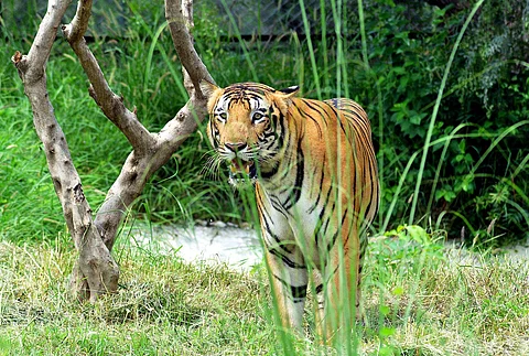 கோப்புப்படம்.
