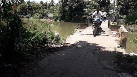 பாண்டுக்குடியில் பாதுகாப்பு இல்லாத நிலையில் உள்ள பாலம்.