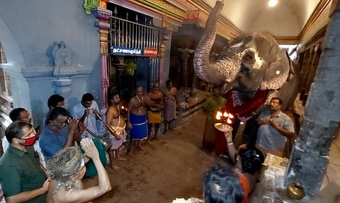 kk31elep_3108chn_95_5