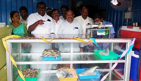 நாகையில் நவீன மீன் விற்பனை நிலையம் திறப்பு