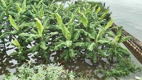 காவிரியில் வெள்ளப் பெருக்கு