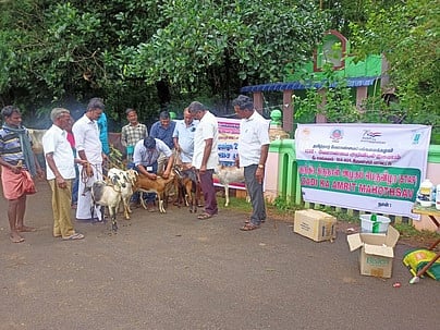 ஆணைவடபாதி கிராமத்தில் நடைபெற்ற கால்நடைகளுக்கான மருத்துவ முகாம்.