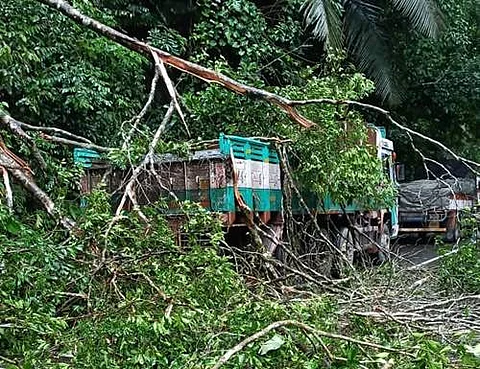 கன மழை மற்றும் பலத்த காற்று காரணமாக சாலையில் நின்றுகொண்டிருந்த லாரி மீது விழுந்து கிடக்கும் மரங்கள்.