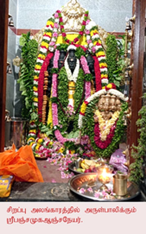 சிறப்பு அலங்காரத்தில் அருள்பாலிக்கும் பஞ்சமுக ஆஞ்சனேயா்.