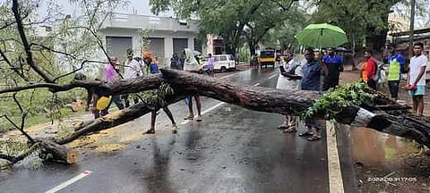 வாழப்பாடி பகுதியில் பலத்த மழை