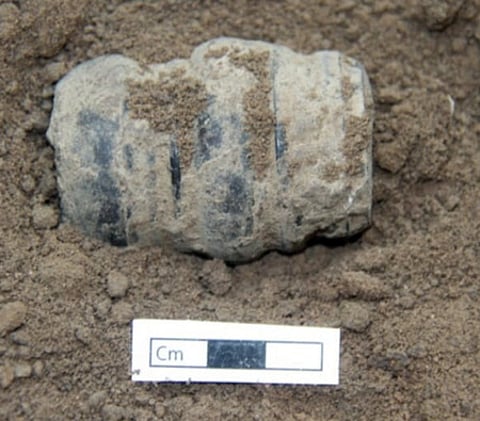 சிவகங்கை மாவட்டம் கீழடியில் நடந்து வரும் அகழாய்வில் சனிக்கிழமை கண்டெடுக்கப்பட்ட தந்தத்திலான மணி (சுத்தப்படுத்துவதற்கு முன்பு)