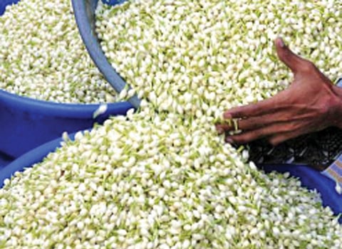 கோப்புப்படம்