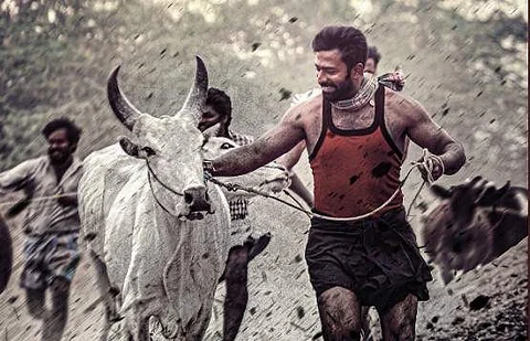 சாந்தனு - விக்ரம் சுகுமாரன் கூட்டணி படம் குறித்து அறிவிப்பு!