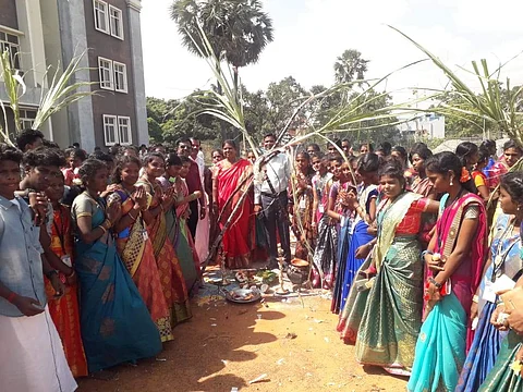 வேதாரண்யம் அரசுக் கல்லூரியில் நடைபெற்ற பொங்கல் விழா