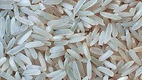 கோப்புப் படம்