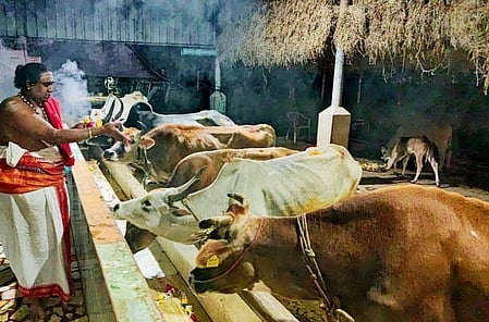 கோயில்கந்தன்குடியில் நடைபெற்ற கோ பூஜை. திருவீழிமிழலையில் நடைபெற்ற கோபூஜை.