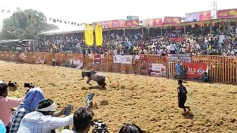 பாலமேடு ஜல்லிக்கட்டு: மாடு முட்டியதில் 9 காளைகளை அடக்கிய இளைஞர் பலி