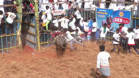 மணப்பாறை ஆவரங்காடு ஜல்லிக்கட்டு: 17 வீரர்கள் காயம்!