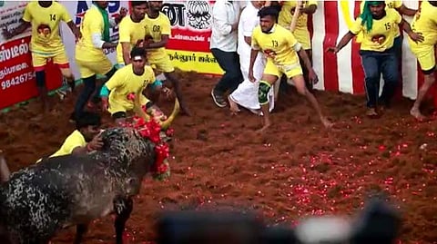 அலங்காநல்லூர் ஜல்லிக்கட்டு நிறைவு: முதலிடத்திற்கு கார் பரிசு!