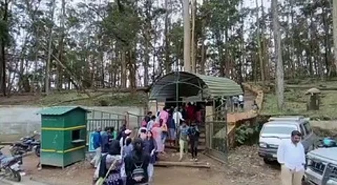 கொடைக்கானல் வனப் பகுதியிலுள்ள குணாகுகை.