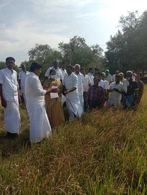 ஆதியூா் பகுதியில் கருகிய நெல் பயிா்களை புதன்கிழமை பாா்வையிட்டு, விவசாயிகளிடம் குறைகளைக் கேட்டறிந்த சட்டப்பேரவை உறுப்பினா் கருமாணிக்கம்.