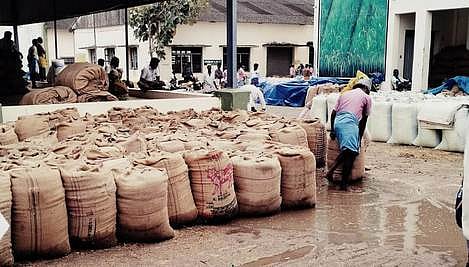விருத்தாசலத்தில் திங்கள்கிழமை காலை பெய்த திடீா் மழையால், ஒழுங்குமுறை விற்பனைக் கூடத்தில் திறந்தவெளியில் வைக்கப்பட்டிருந்ததால் நனைந்து சேதமடைந்த நெல் மூட்டைகள்.
