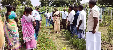 விவசாயிகளுக்கு வேளாண் துறையினா் பயிற்சி