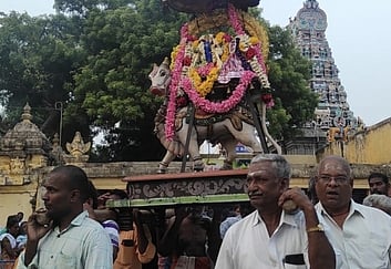 வந்தவாசி ஸ்ரீஜலகண்டேஸ்வரா் கோயிலில் வியாழக்கிழமை நடைபெற்ற உற்சவா் வீதியுலா.