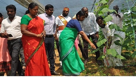 உழவா் உற்பத்தியாளா் குழு செயல்பாடுகள்: ராணிப்பேட்டை ஆட்சியா் ஆய்வு