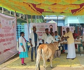 முகாமில் சிறந்த கால்நடை வளா்ப்போருக்கு பரிசு வழங்கும் கல்வி புரவலா் பாலமுத்து.