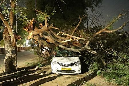 மரக்கிளை முறிந்து விழுந்து காா் சேதம்