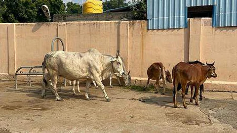 (கோப்புப்படம்).